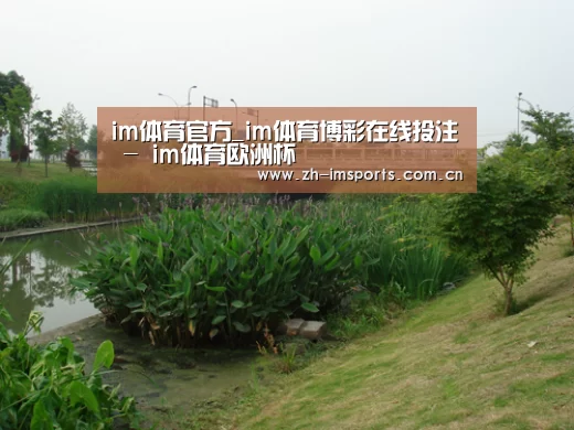 案例展示四(图1)