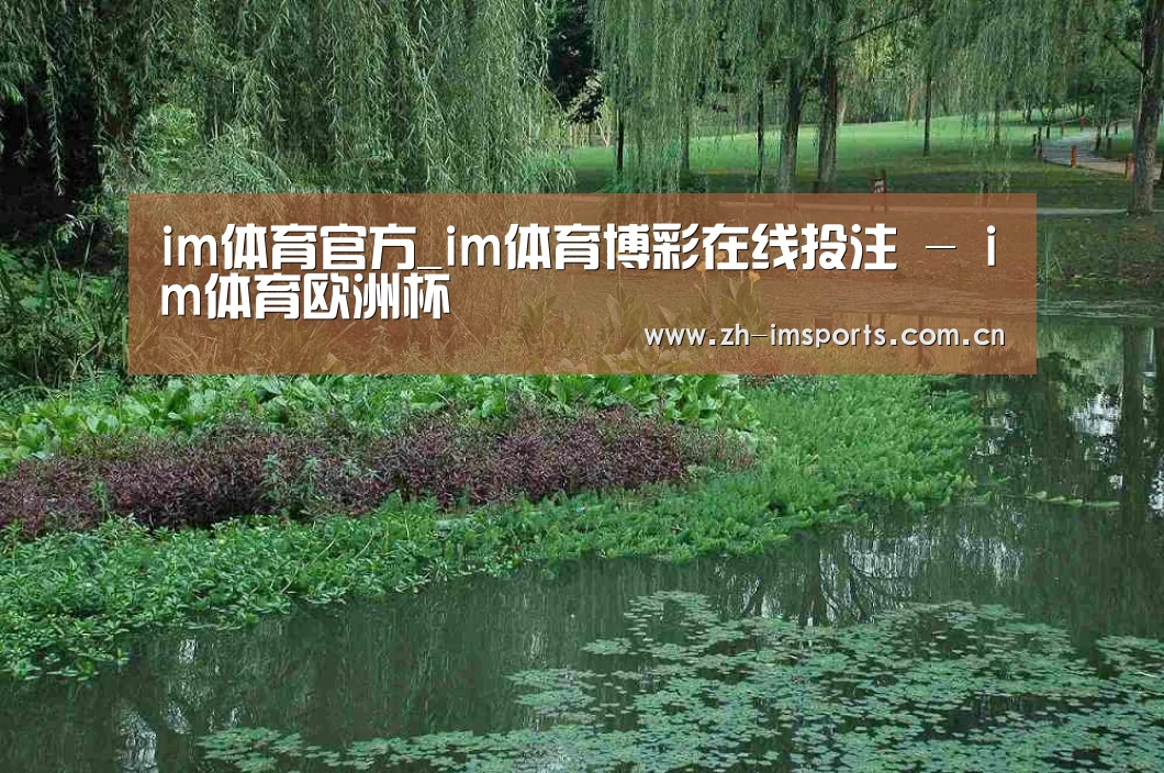 案例展示一(图1)