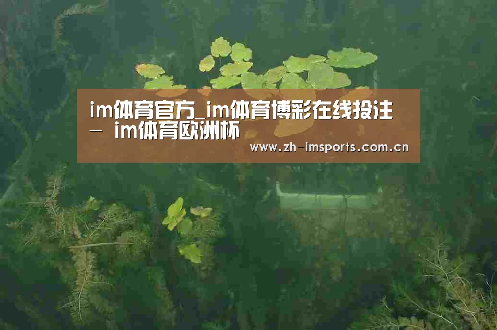 案例展示三(图1)