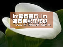 产品名称七