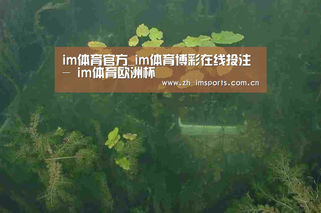 案例展示三