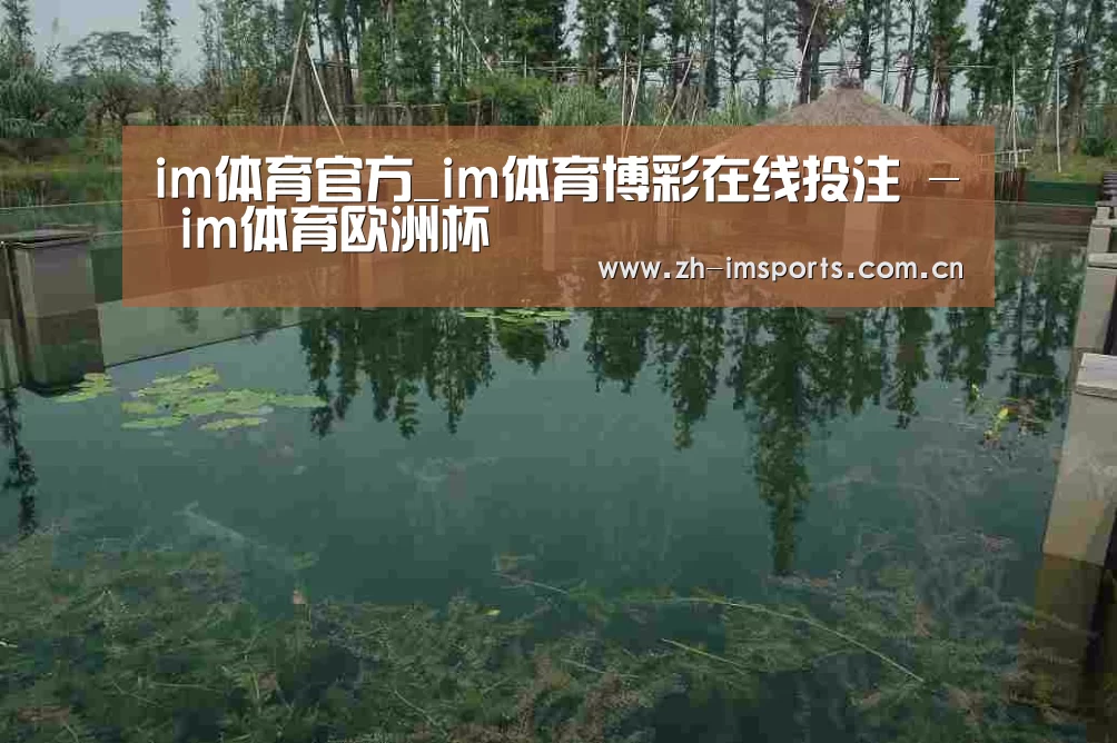 案例展示二