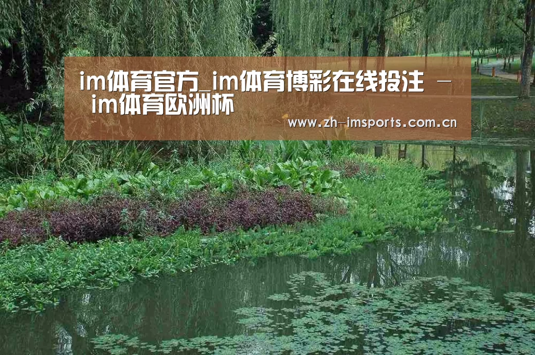 案例展示一