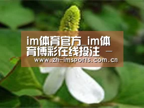 产品名称三