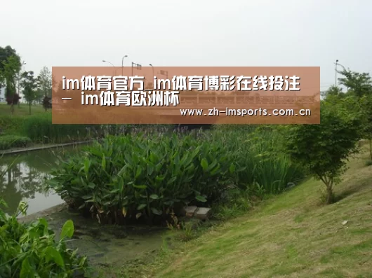 案例展示四