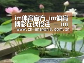 产品名称一