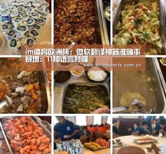 im体育欧洲杯:微软翻译神器准确率暴增:11种语言秒懂(图3) im体育博彩在线投注