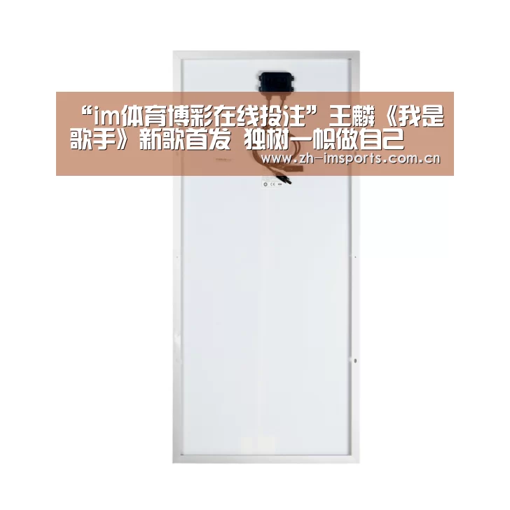“im体育博彩在线投注”王麟《我是歌手》新歌首发 独树一帜做自己(图2) im体育欧洲杯