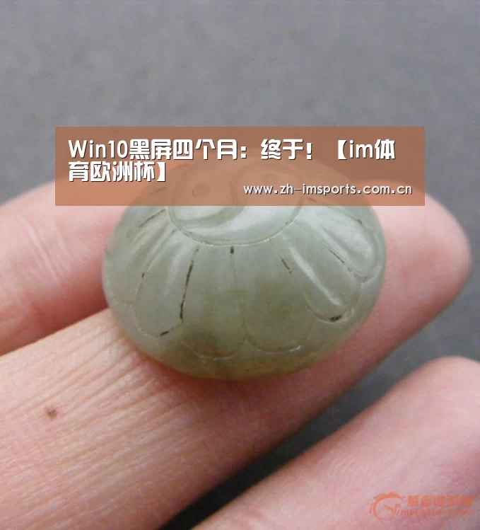 Win10黑屏四个月:终于!【im体育欧洲杯】(图2) im体育欧洲杯