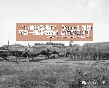 ‘im体育欧洲杯’《Rime》发售不到一周就被破解 官方移除D加密(图1) im体育官网