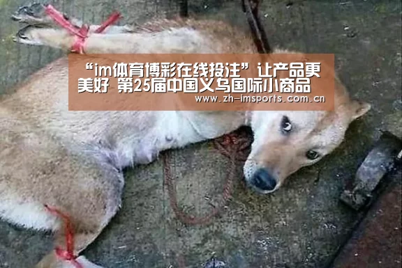 “im体育博彩在线投注”让产品更美好 第25届中国义乌国际小商品(标准)博览会成果丰硕(图1) im体育官网