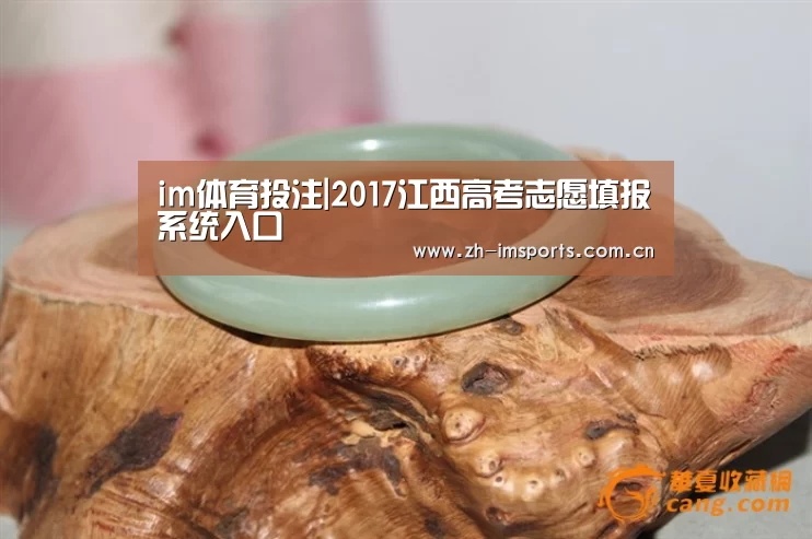 im体育欧洲杯