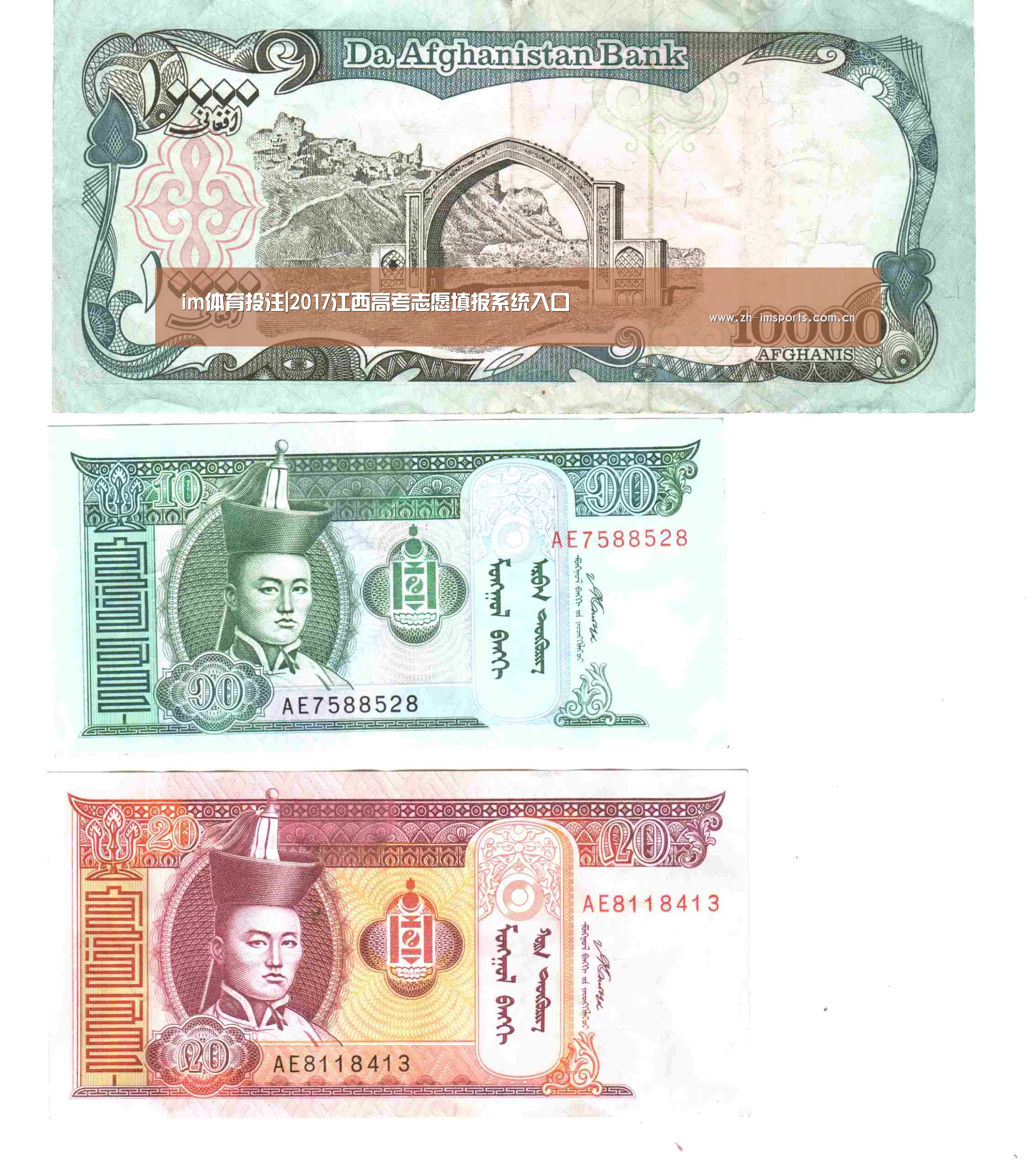 im体育投注