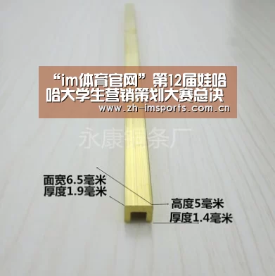 im体育欧洲杯