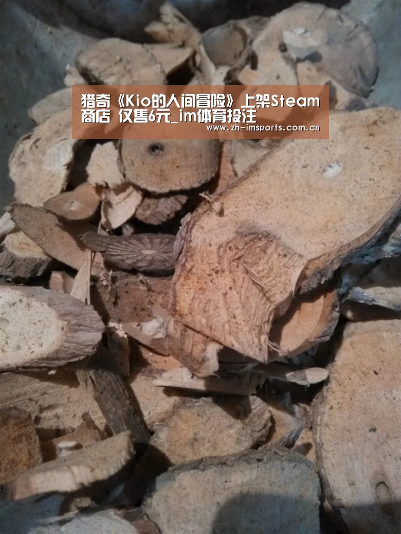 猎奇《Kio的人间冒险》上架Steam商店 仅售6元_im体育投注(图4) im体育欧洲杯