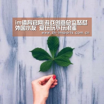 im体育官网|游戏创意总监怒怼外国水友 爱玩玩不玩滚蛋(图2) im体育博彩在线投注