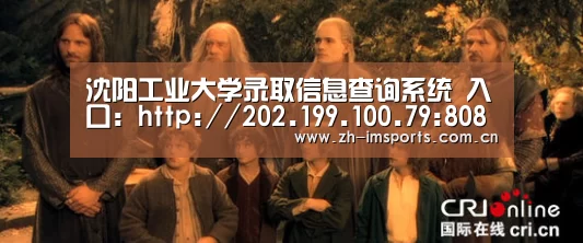 沈阳工业大学录取信息查询系统 入口:http://202.199.100.79:8080/lnsbys/kaosheng_im体育官网(图1) im体育欧洲杯
