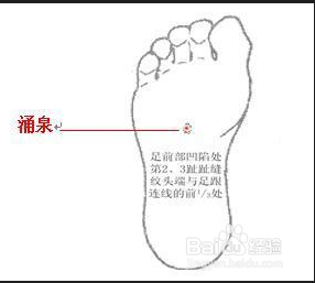 im体育欧洲杯