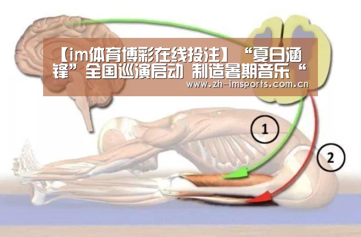 im体育官网